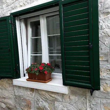 Nina Apartman *